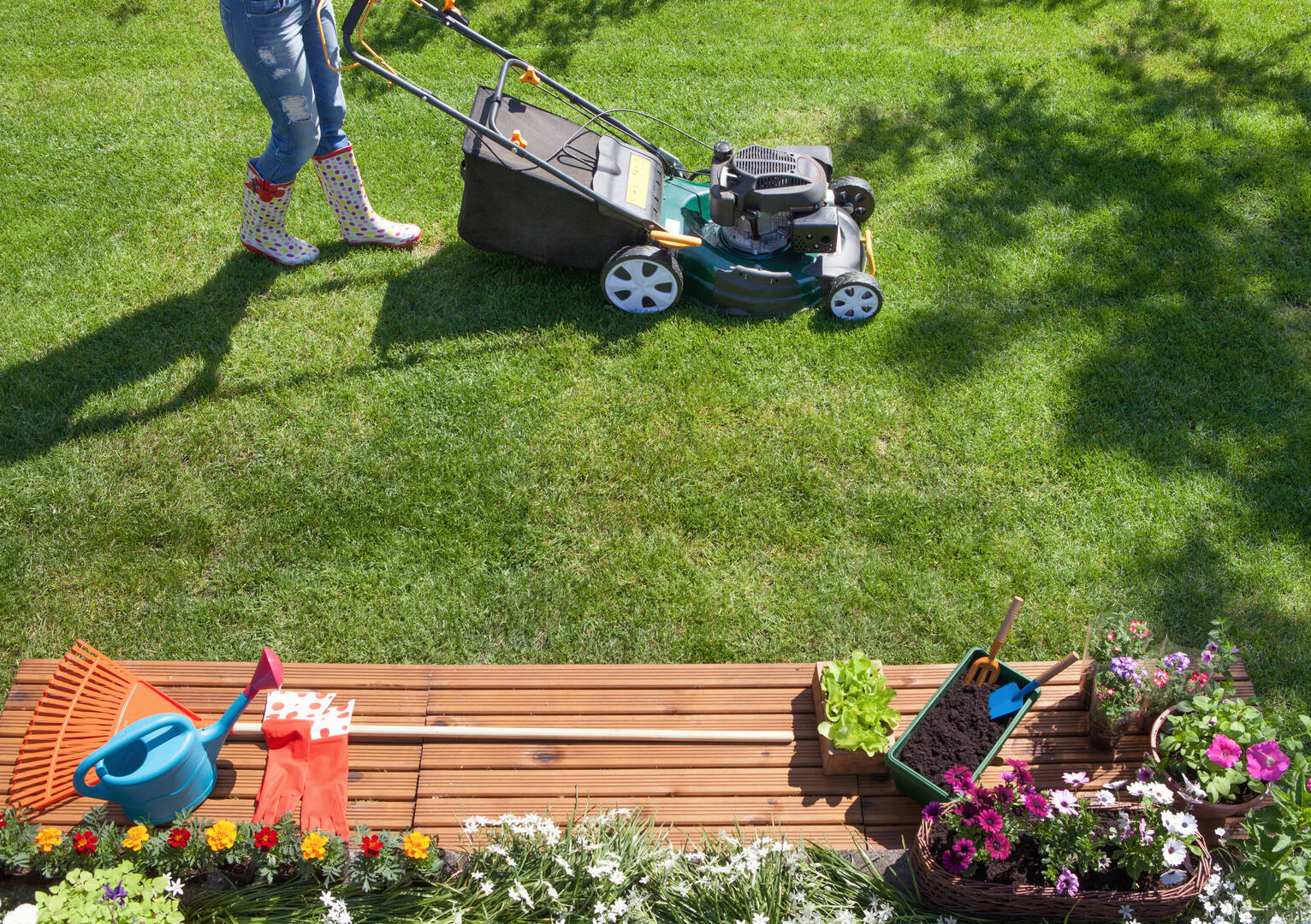 Choose Commercial Lawn Maintenance in Boca Raton FL Area